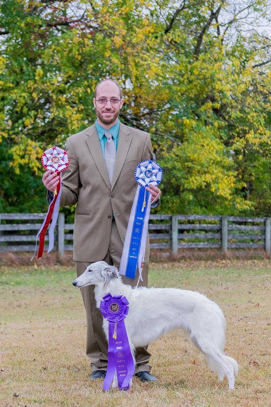 Silken Windhound Honey earning Best of Opposite in a Specialty Show