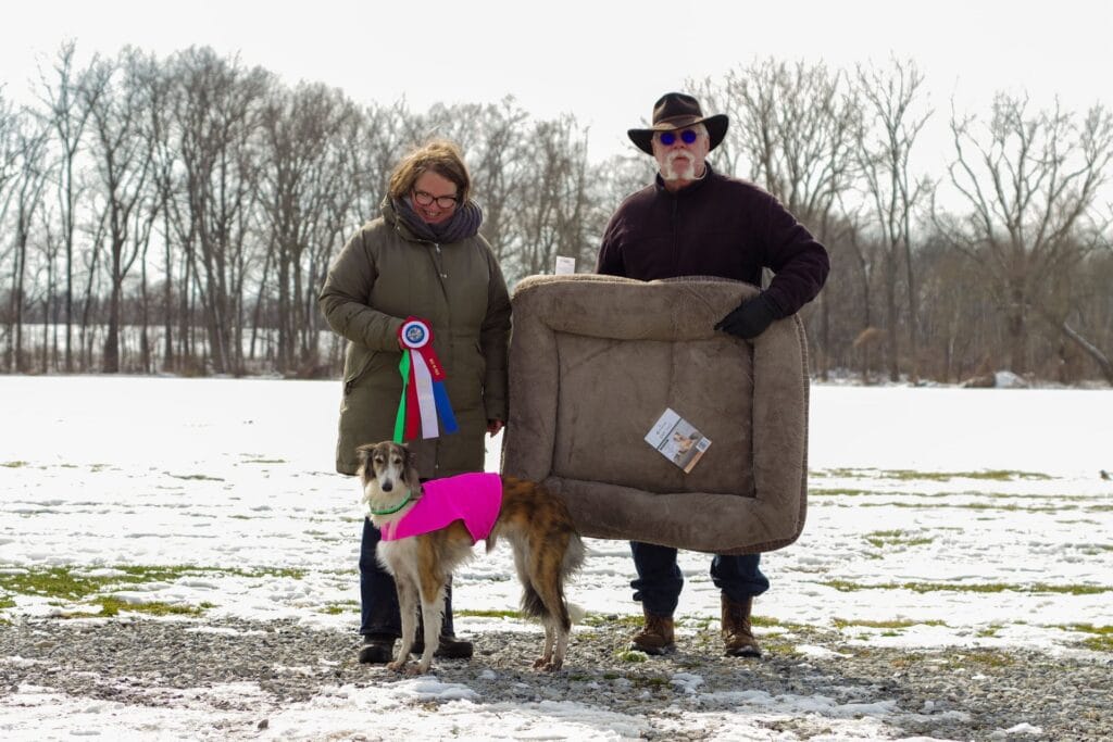 Silken Windhound named Three